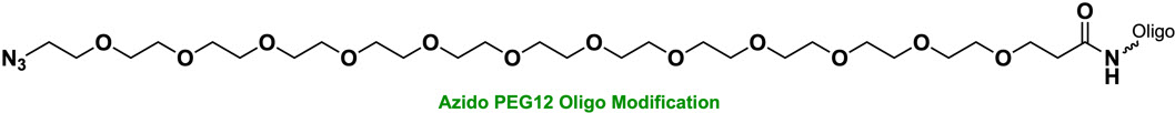 Bio-Synthesis Inc. Oligo Structure